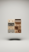 Modular Wall Organizer With Hooks